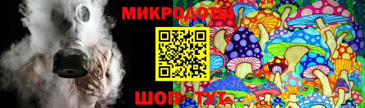 Невинномысск  где купить наркотик  Псилоцибиновые грибы мицелий  Вход с VPN  Галлюциногенные грибы Psilocybine cubensis 